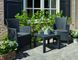 Комплект садових меблів Keter Rosario balcony set, графіт - прохолодний сірий 897959349 фото 2