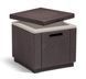 Стіл-скриня з термоізоляцією Allibert Ice Cube, коричневий 2202415532 фото 2
